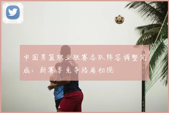 中国男篮职业联赛各队阵容调整完成,新赛季竞争格局初现