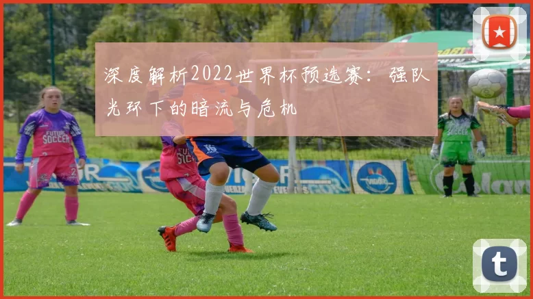 深度解析2022世界杯预选赛:强队光环下的暗流与危机