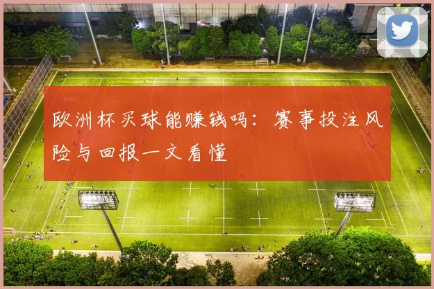 欧洲杯买球能赚钱吗：赛事投注风险与回报一文看懂