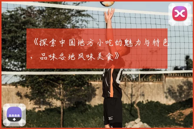 《探索中国地方小吃的魅力与特色,品味各地风味美食》