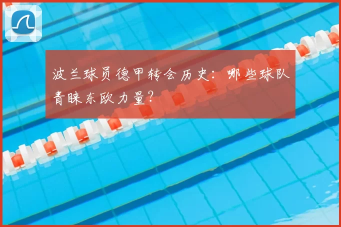 波兰球员德甲转会历史:哪些球队青睐东欧力量?