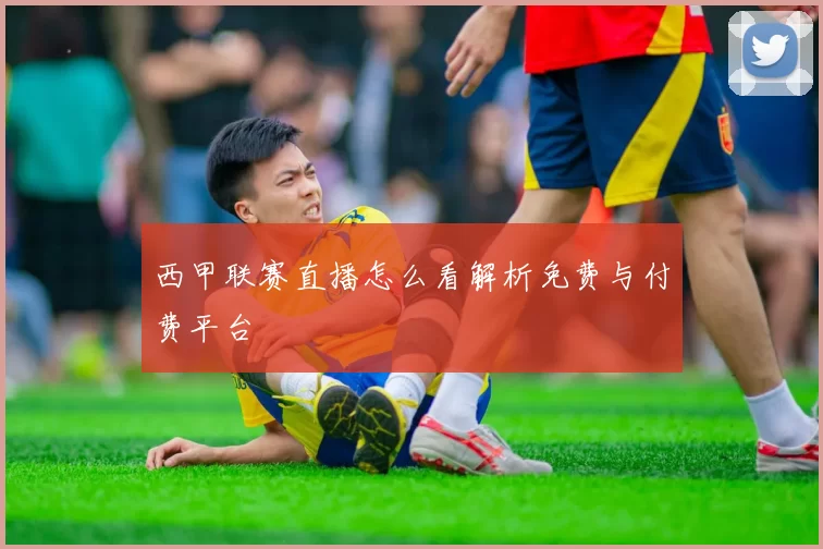 西甲联赛直播怎么看解析免费与付费平台