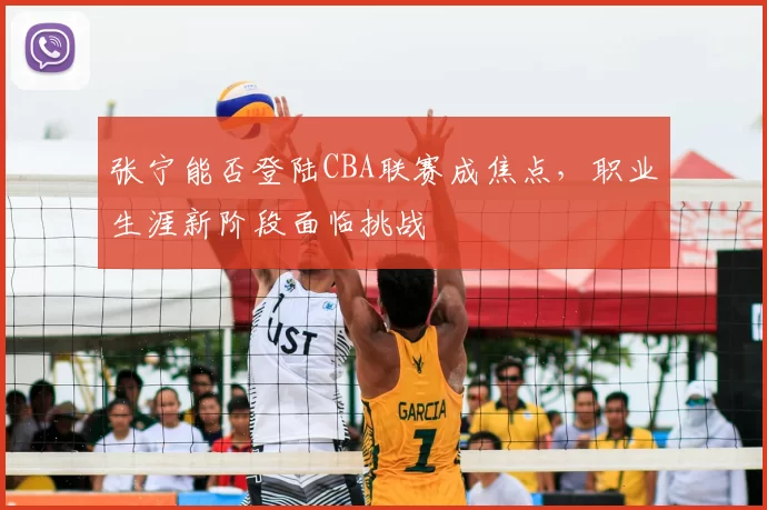张宁能否登陆CBA联赛成焦点，职业生涯新阶段面临挑战