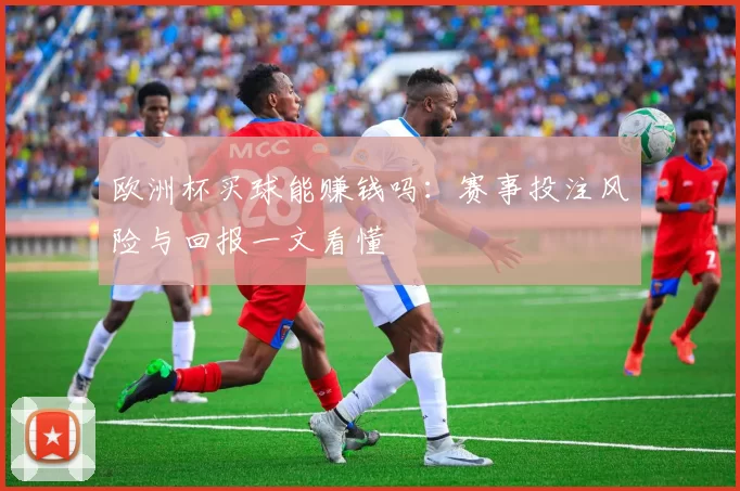 欧洲杯买球能赚钱吗:赛事投注风险与回报一文看懂