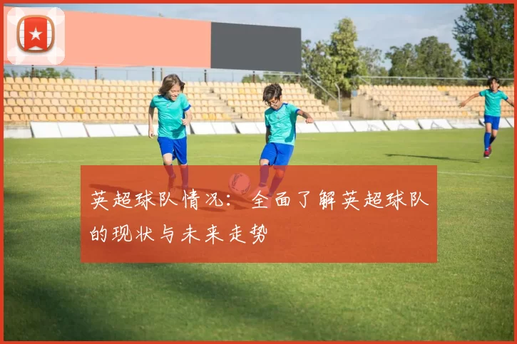 英超球队情况：全面了解英超球队的现状与未来走势