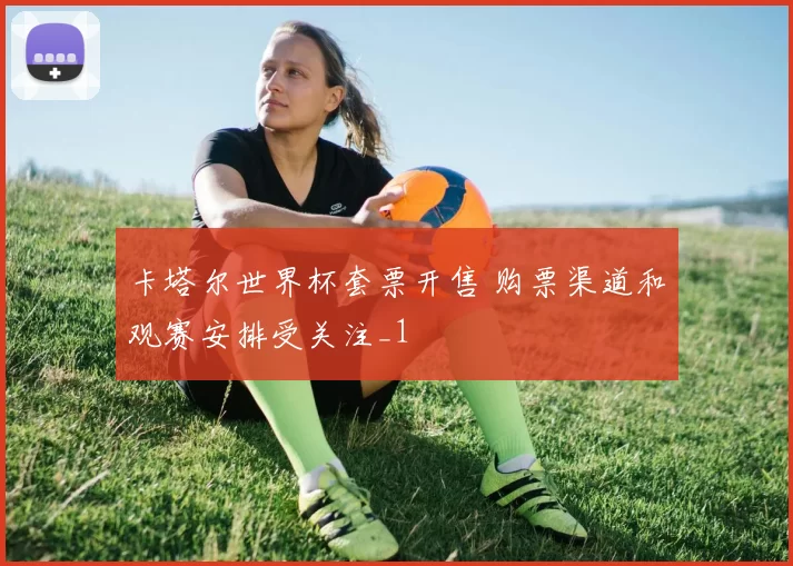 卡塔尔世界杯套票开售 购票渠道和观赛安排受关注_1