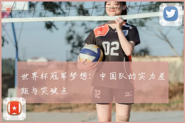 世界杯冠军梦想:中国队的实力差距与突破点