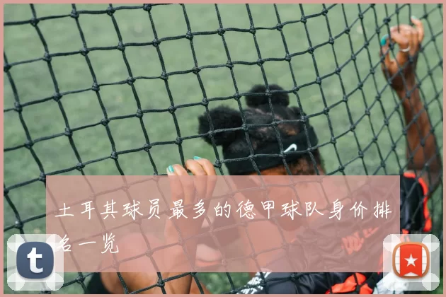 土耳其球员最多的德甲球队身价排名一览