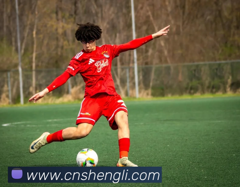 kaiyun平台生态图